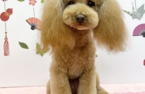 ここあちゃん＆ひまりちゃん