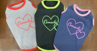 2枚以上で１０％ＯＦＦ(^^)/