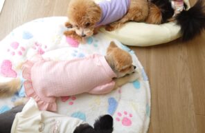 ガムもらったよ🎵🎵