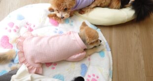 ガムもらったよ🎵🎵