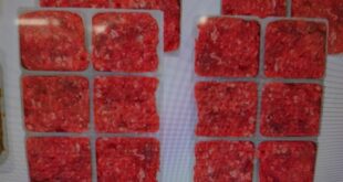 生馬肉を５％ｏｆｆで！！