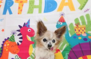 １９歳おめでとう🎉