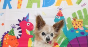 １９歳おめでとう🎉