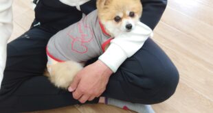 ひかるちゃんに家族が！！！！！！