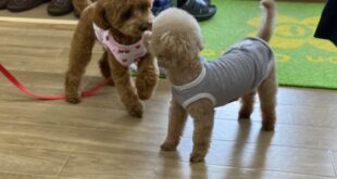 今日もたくさんの笑顔(*^▽^*)