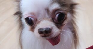 面談成立しませんでした・・